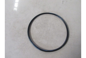 Кольцо уплотнительное гильзы нижнее C02AL-5S6670