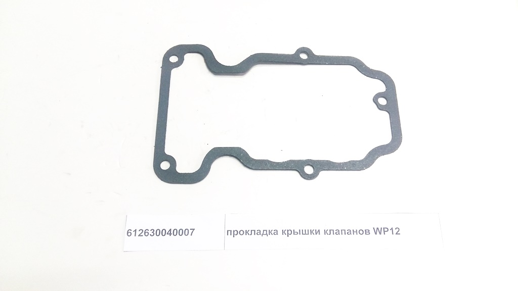 Прокладка крышки клапанов WP12